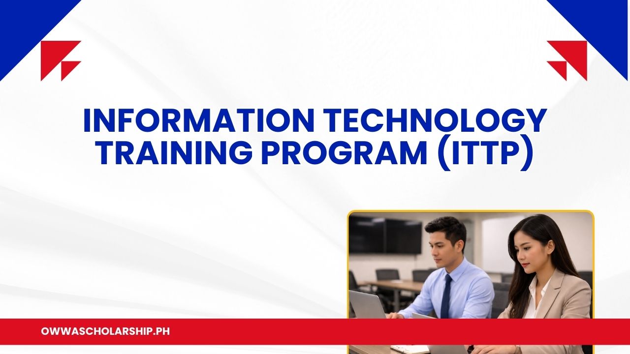 Information Technology Training Program