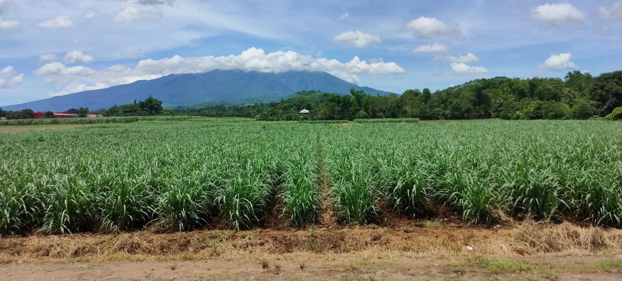 Sugarcane Industry Development Act Scholarship Program